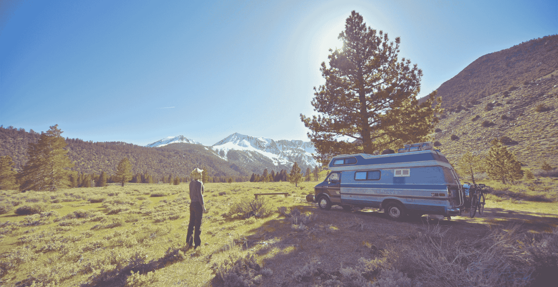 A person stands in a scenic mountainous landscape with a vintage van parked nearby, surrounded by trees and snow-capped peaks under a clear blue sky.